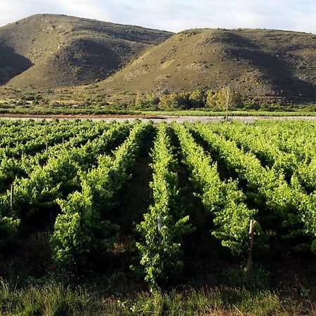 Tanagra Wine & Guestfarm Appartement McGregor Buitenkant foto