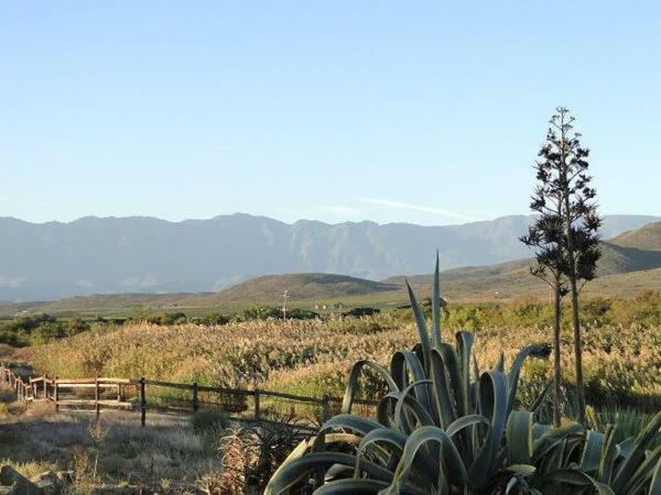 Tanagra Wine & Guestfarm Appartement McGregor Buitenkant foto