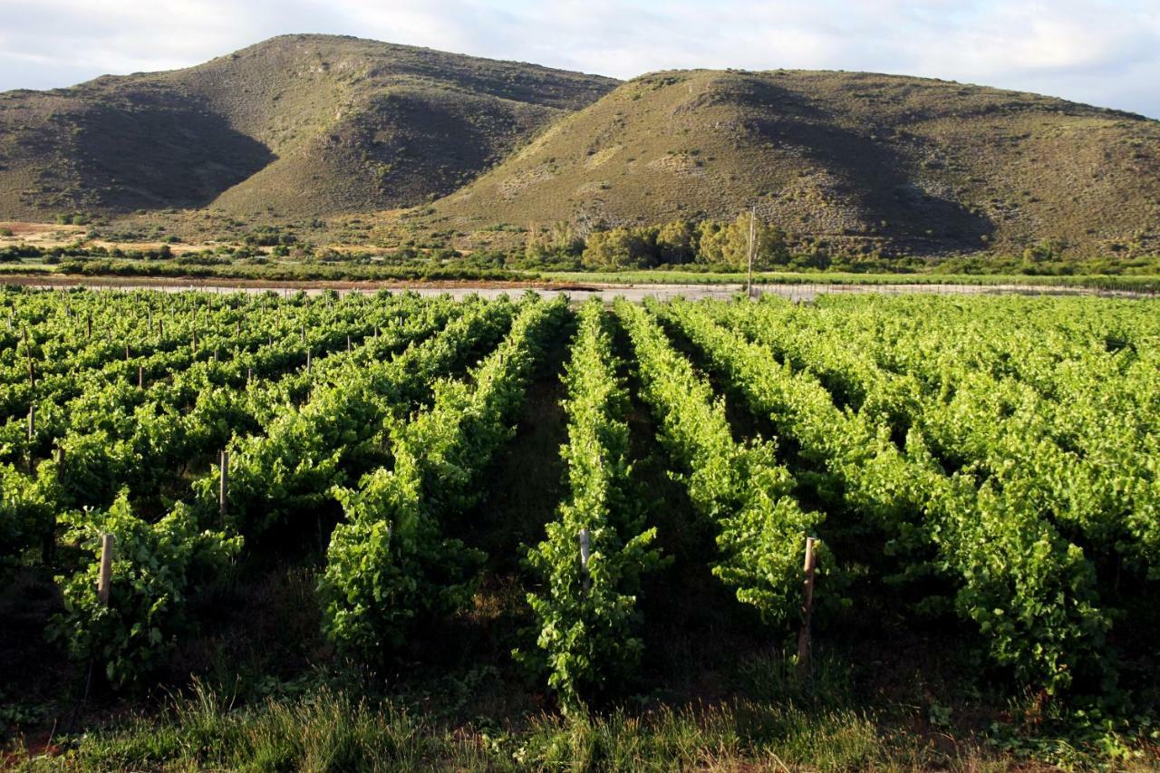 Tanagra Wine & Guestfarm Appartement McGregor Buitenkant foto